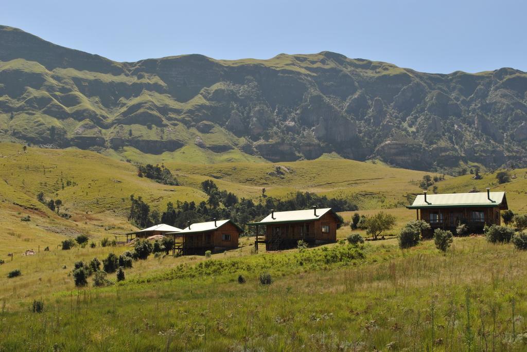 Greenfire Drakensberg Lodge Bonjaneni الغرفة الصورة
