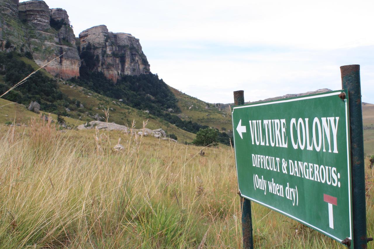 Greenfire Drakensberg Lodge Bonjaneni المظهر الخارجي الصورة